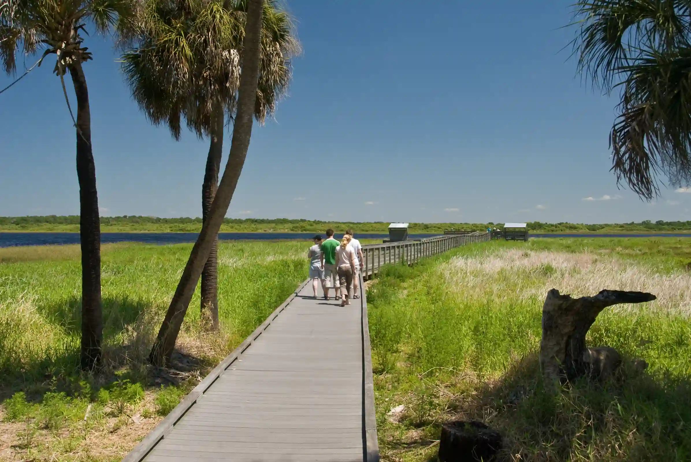 Wildlife and scenic wetlands at Myakka River State Park, a peaceful nature escape near the Best hotel in Arcadia, Florida.